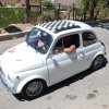 Burgio_2009 (347)
